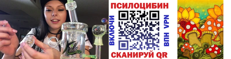 Псилоцибиновые грибы Psilocybe площадка формула Абаза